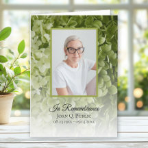 Groene Hydrangea Bloemen Begrafenisdienst Gevouwen