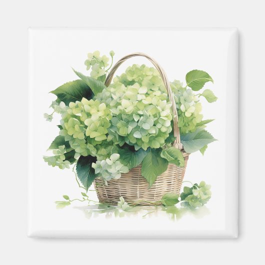 Groene Hydrangea's Magneet (Voorkant)