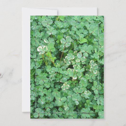Groene Ierse Shamrock uitnodiging template (Voorkant)