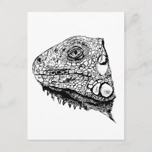 Groene iguana briefkaart