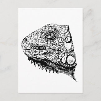 Groene iguana briefkaart