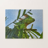 Groene Iguana in een palmboom Fotografisch Jigzaag Legpuzzel (Horizontaal)