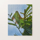 Groene Iguana in een palmboom Fotografisch Jigzaag Legpuzzel (Verticaal)