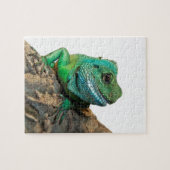 Groene iguana legpuzzel (Horizontaal)