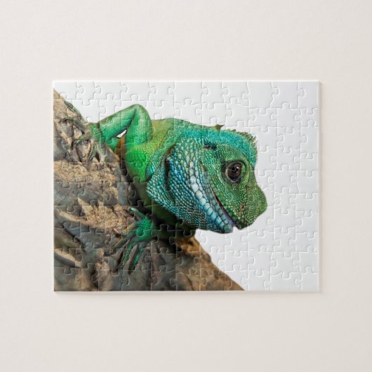 Groene iguana legpuzzel (Horizontaal)