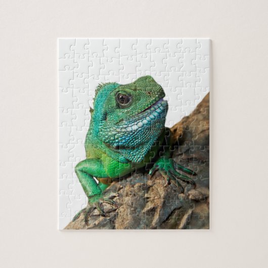 Groene iguana legpuzzel (Verticaal)