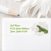 Groene Iguana Lizard Retouradreslabel Etiket (Insitu)