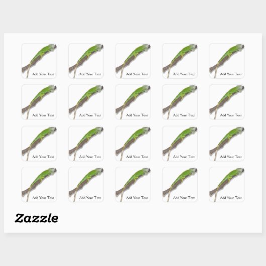 Groene Iguana op witte Sticker (Vel)