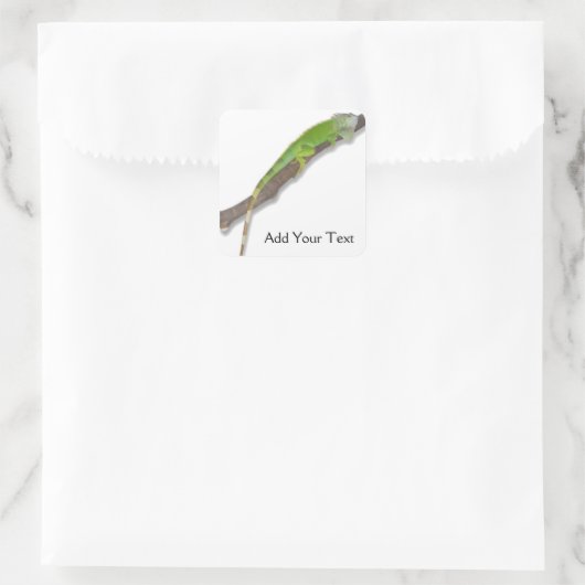 Groene Iguana op witte Sticker (Tas)