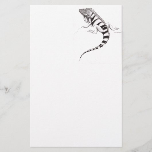 Groene Iguana Pen Studie Stationery Briefpapier (Voorkant)