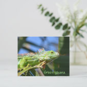Groene Iguana Reptiel Wildlife Fotografisch Briefkaart (Staand voorkant)