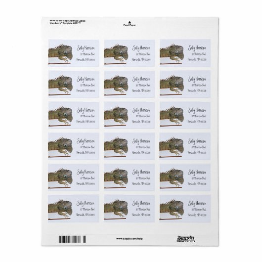Groene Iguana retour adres label Sjabloon (Full Sheet)