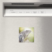 Groene Iguana stroomt in de zon Magneet (Insitu (Vaatwasser))