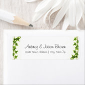 Groene ijsheek - de Etiketten van het Adres van de (Insitu)