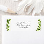 Groene ijsheek - de Etiketten van het Adres van de (Insitu)