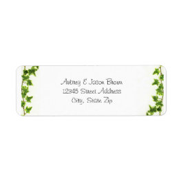 Groene ijsheek - de Etiketten van het Adres van de