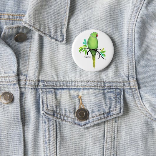 Groene Indische ringnek Parrot Ronde Button 5,7 Cm (In situ)