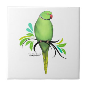 Groene Indische ringnek Parrot Tegeltje