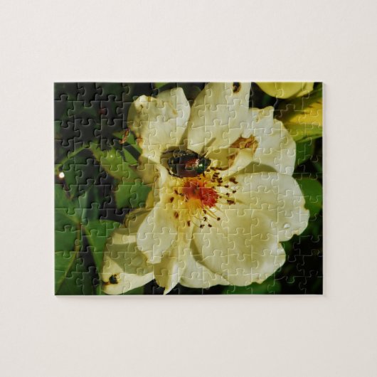 Groene Japanse keet op Gele rozenbloem Legpuzzel (Horizontaal)