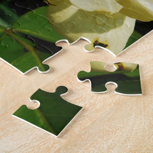 Groene Japanse keet op Gele rozenbloem Legpuzzel (Zijkant)