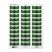 Groene Kaarsen Kerst Retouradres Etiket (Full Sheet)