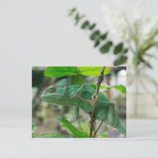 groene kameleon briefkaart (Staand voorkant)
