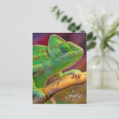 Groene Kameleon Briefkaart (Staand voorkant)