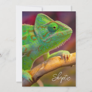 Groene Kameleon Kaart