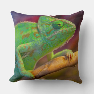 Groene Kameleon Kussen