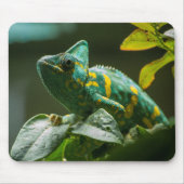 Groene Kameleon Muismat (Voorkant)