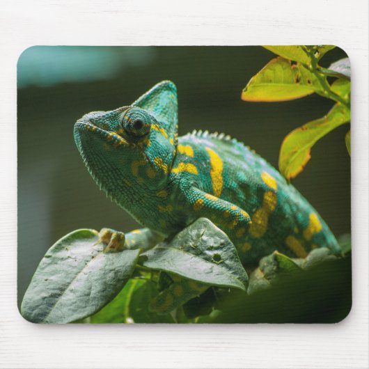 Groene Kameleon Muismat (Voorkant)