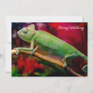 Groene kameleon op de tak kaart