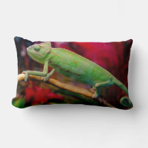 Groene kameleon op de tak