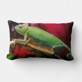 Groene kameleon op de tak kussen
