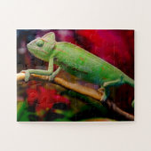 Groene kameleon op de tak legpuzzel (Horizontaal)
