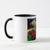 Groene kameleon op de tak mok (Links)