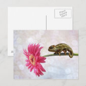 Groene kameleon op roze bloem briefkaart (Voorkant / Achterkant)