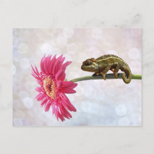 Groene kameleon op roze bloem briefkaart