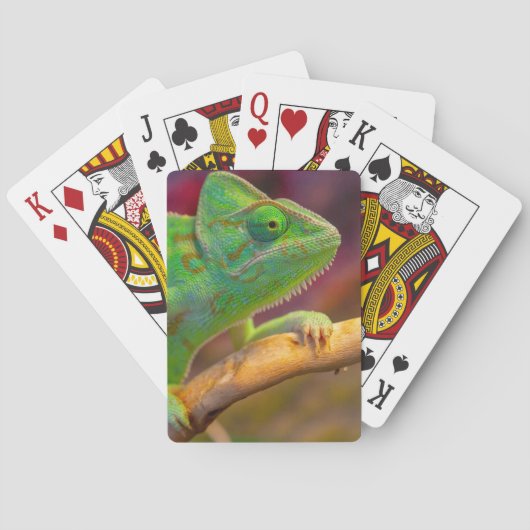 Groene Kameleon Pokerkaarten (Achterkant)