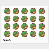 Groene Kameleon Ronde Sticker (Vel)