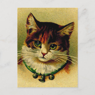 groene kat met Jingle Bells Briefkaart