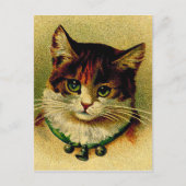 groene kat met Jingle Bells Briefkaart (Voorkant)