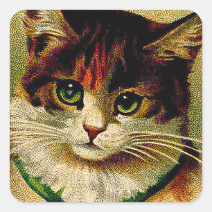 groene kat met Jingle Bells Vierkante Sticker