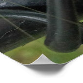 Groene Katydid op Zwarte Omheining Poster (Hoek)