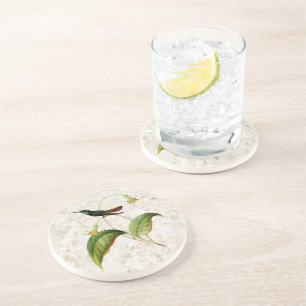 Groene keel Mango kolibrie zandsteen Onderzetter