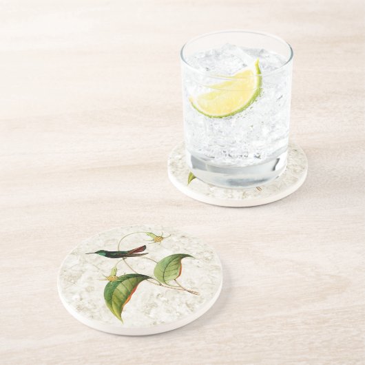 Groene keel Mango kolibrie zandsteen Onderzetter (Zijkant)