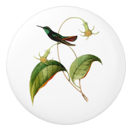 Groene keelmango kolibrie keramische knop