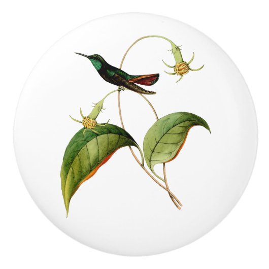 Groene keelmango kolibrie keramische knop (Voorkant)