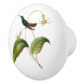 Groene keelmango kolibrie keramische knop (Rechts)