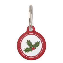 Groene Kerst Hulst Plant Illustratie Met Rood Huisdierpenning